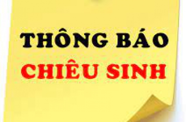 Thông báo chiêu sinh, đào tạo chứng chỉ CNTT Cơ bản và Nâng cao Tháng 5/2022