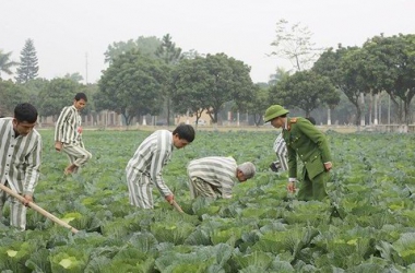 Người chấp hành xong án phạt tù được vay vốn tối đa 100 triệu đồng/người để sản xuất, kinh doanh